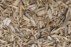biomass boilers Poplars